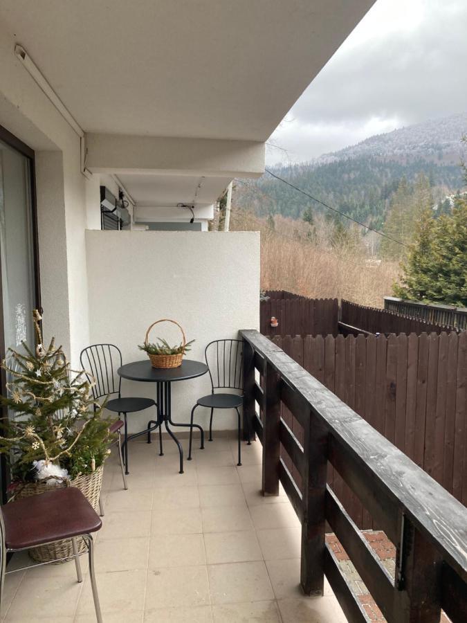 Ski View Studio - Near The Ski Slopes Azuga Exterior photo